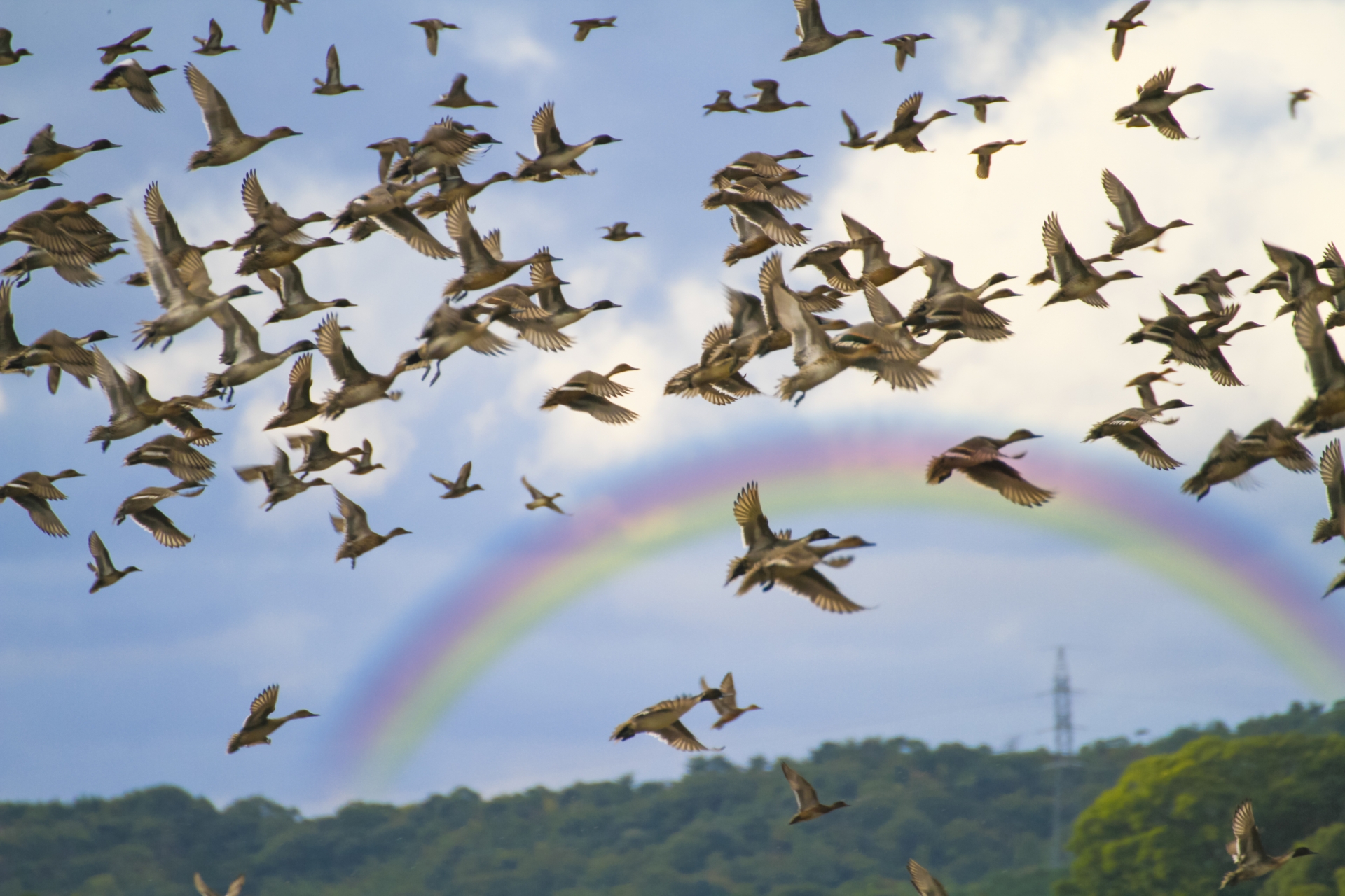 ���É�Web�W�q�m